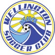 Ikona programu: Wellington Wave
