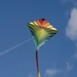 Icon of program: Kite Flying 2023 (Kite Ga…