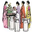 Ikon program: MWCD