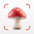 Ikon program: Mushroom Identifier Fungu…
