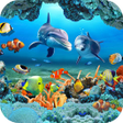 أيقونة البرنامج: Fish Live Wallpaper 3D Aq…