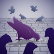 Ikona programu: A Park And Pigeons