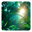 Ikon program: Jungle Live Wallpaper