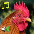 Иконка программы: Alarm Clock Ringtones