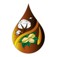 Ноокен Кочкор-Ата Жарыя icon