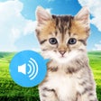 Ícone do programa: Animal sounds - Images No…