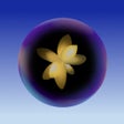 أيقونة البرنامج: Kaleido - Art Market
