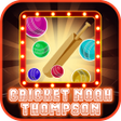 プログラムのアイコン：Cricket Noah Thompson