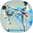 Icon of program: Taekwondo Guide