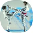 Taekwondo Guide
