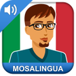 Icon of program: Learn Italian Fast: Cours…