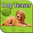 程序图标：Dog Teaser