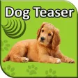 Dog Teaser