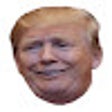 Individual-1 icon