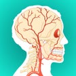 ไอคอนของโปรแกรม: Anatomy and Physiology GO