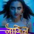 أيقونة البرنامج: Coolrs TV Full HD Serials…