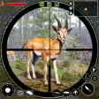 Real Wild Animal Hunting Game