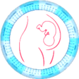 プログラムのアイコン：Gestogram and pregnancy w…