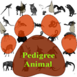 プログラムのアイコン：Pedigree of the Animal