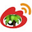 ไอคอนของโปรแกรม: Rainforest·Weibo Assistan…