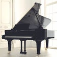 Icon of program: Piano 10