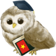 程序图标：Learn Vietnamese