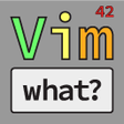 程序图标：Vim what?