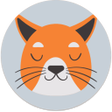 程序图标：Flair Uc Browser Pro