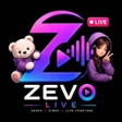 Programikonen: zevolive
