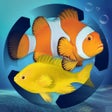 프로그램 아이콘: Fish Farm Merge