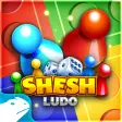 SheshLudo- Multiplayer Ludo board game