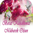 程序图标：Berat Kandili Mesajları