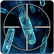 Ikon program: Virus hunter