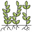 程序图标：Crop Loss GT 2023