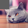 Icon of program: Jigsaw Puzzle: Cute Anima…