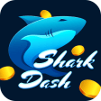 Shark Dash