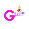 プログラムのアイコン：GE SSRU Application