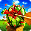 Icon of program: Watermelon Shooting : Arc…