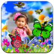 Icon of program: Butterfly Photo Frames