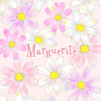 Ikona programu: Flower wallpaper-Margueri…
