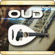 プログラムのアイコン：OudPro