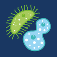 Icon of program: Bacteriology  Microbiolog…