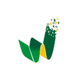 Programikonen: Wosiwosi Foods