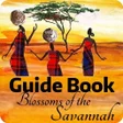 程序图标：Blossoms of the Savannah …