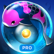 Ikon program: Zen Koi Pro