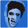 プログラムのアイコン：Radio Elvis FM