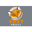 FoxyProxy Basic