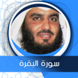 أيقونة البرنامج: البقرة بصوت العجمي بدون ا…