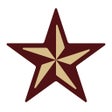 Icon of program: Texas State Mobile