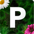 Programın simgesi: Pollen allergy warning Sw…